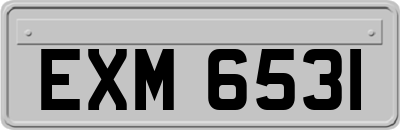 EXM6531