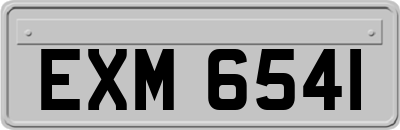 EXM6541