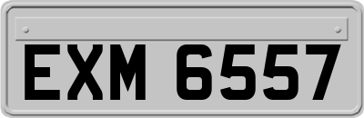 EXM6557