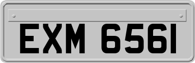 EXM6561