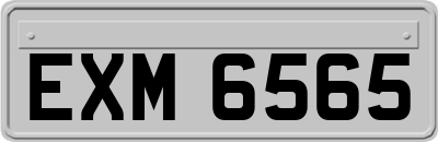 EXM6565