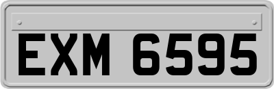 EXM6595