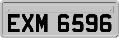 EXM6596