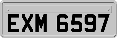 EXM6597