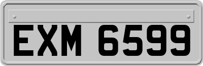 EXM6599