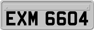 EXM6604