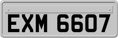 EXM6607