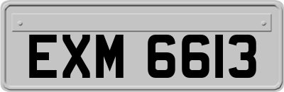 EXM6613