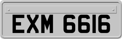 EXM6616
