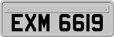 EXM6619