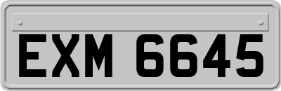 EXM6645