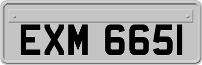 EXM6651