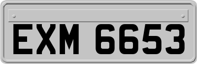 EXM6653