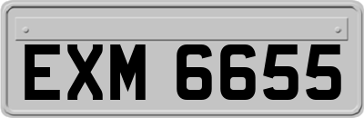 EXM6655