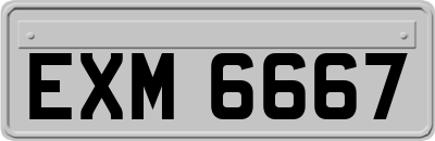 EXM6667