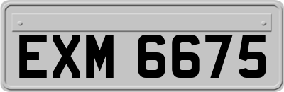 EXM6675