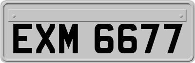 EXM6677