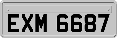 EXM6687