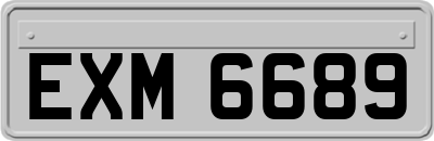 EXM6689