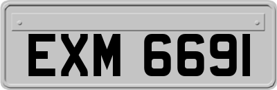 EXM6691
