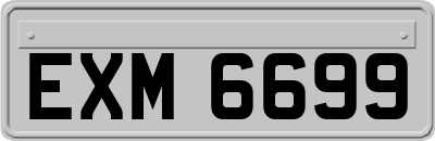 EXM6699