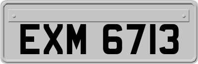 EXM6713