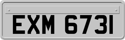 EXM6731