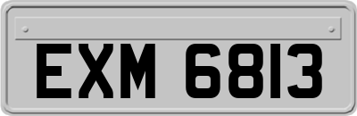 EXM6813
