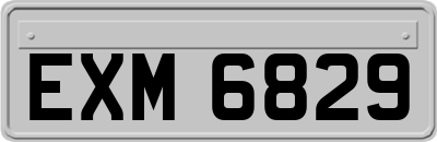 EXM6829