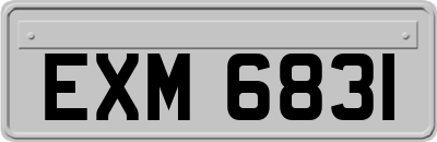 EXM6831