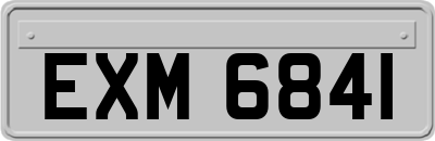 EXM6841