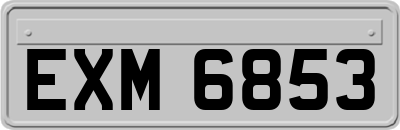 EXM6853