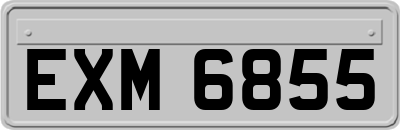 EXM6855