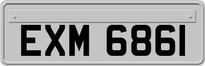 EXM6861
