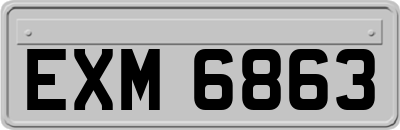 EXM6863