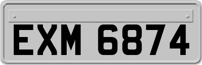 EXM6874