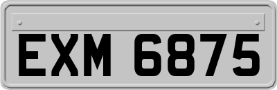 EXM6875