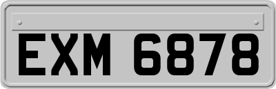 EXM6878
