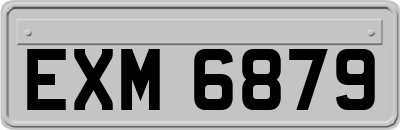 EXM6879