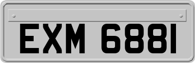 EXM6881