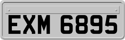 EXM6895