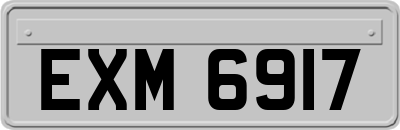 EXM6917