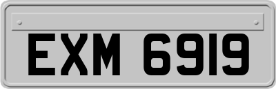 EXM6919