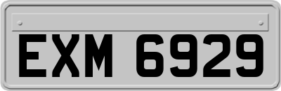 EXM6929