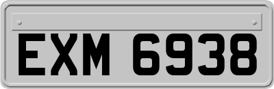 EXM6938