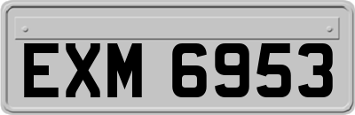 EXM6953