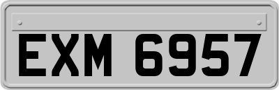 EXM6957