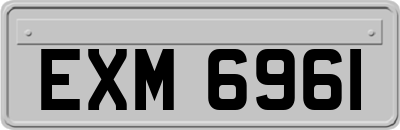 EXM6961