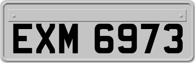 EXM6973