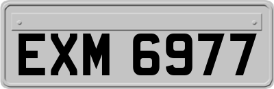 EXM6977